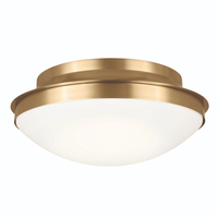 Flush Mount Ceiling Light 17-3/4" Width