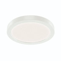Flush Mount Ceiling Light 7-1/100" Width