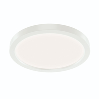 Flush Mount Ceiling Light 9-1/64" Width