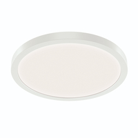 Flush Mount Ceiling Light 11-1/32" Width
