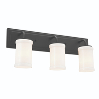 Bathroom Lighting (3 bulbs)