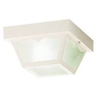 Ceiling Mounted Light 8-1/2" Width