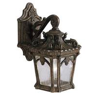 Outdoor Wall Light 10-3/4" Height