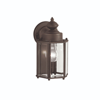 Outdoor Wall Light 10-1/2" Height