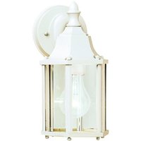 Outdoor Wall Light 10-1/2" Height