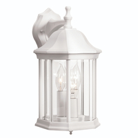 Outdoor Wall Light 15-1/2" Height