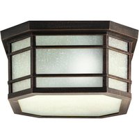 Ceiling Mounted Light 13-1/2" Width Ceiling Mounted Light 13-1/2" Width