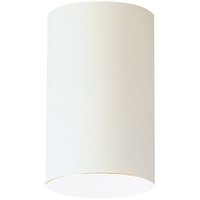 Ceiling Mounted Light 4-1/2" Width Ceiling Mounted Light 4-1/2" Width