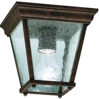 Ceiling Mounted Light 7-1/2" Width