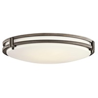 Flush Mount Ceiling Light
