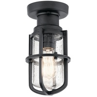 Ceiling Mounted Light 5-1/2" Width