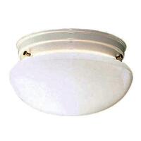 Flush Mount Ceiling Light 9-1/2" Width