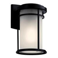 Outdoor Wall Light 10-1/4" Height