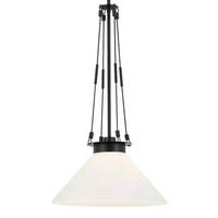 Down Light Pendant 18-1/4" Width