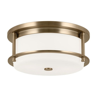 Flush Mount Ceiling Light 12" Width