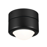 Flush Mount Ceiling Light 5-1/2" Width