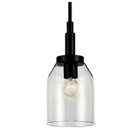 Mini-Pendant 7" Width