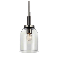 Mini-Pendant 7" Width