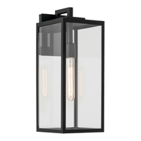 Outdoor Wall Light 17-3/4" Height