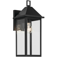 Outdoor Wall Light 16-3/4" Height