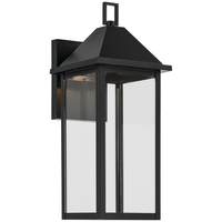 Outdoor Wall Light 16-3/4" Height