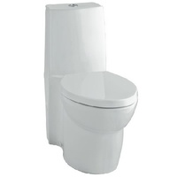 One Piece Toilet Elongated bowl One Piece Toilet Elongated bowl