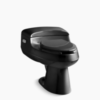 One Piece Toilet Elongated bowl One Piece Toilet Elongated bowl