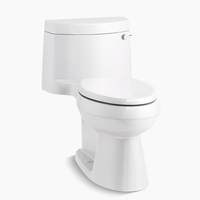 One Piece Toilet Elongated bowl One Piece Toilet Elongated bowl
