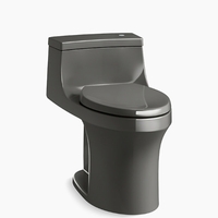 One Piece Toilet Elongated bowl One Piece Toilet Elongated bowl