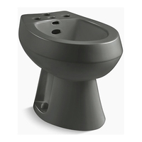 Vertical Spray Bidet Faucet Vertical Spray Bidet Faucet