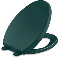 Toilet Seat Elongated bowl