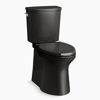 Two Piece Toilet Elongated bowl