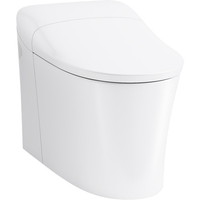 One Piece Toilet Elongated bowl