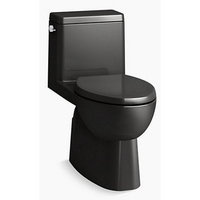 One Piece Toilet Elongated bowl