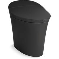 One Piece Toilet Elongated bowl