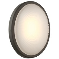 Outdoor Wall Light 8" Height Outdoor Wall Light 8" Height