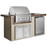 Natural Gas Grill Natural Gas Grill