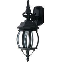 Outdoor Wall Light 15-1/2" Height Outdoor Wall Light 15-1/2" Height