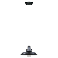 Down Light Pendant 11" Width Down Light Pendant 11" Width