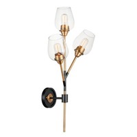 Wall Sconce (Multi Bulb) Wall Sconce (Multi Bulb)