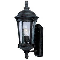Outdoor Wall Light 17" Height
