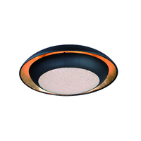 Flush Mount Ceiling Light 11-1/2" Width Flush Mount Ceiling Light 11-1/2" Width