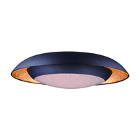 Flush Mount Ceiling Light 23-1/2" Width Flush Mount Ceiling Light 23-1/2" Width
