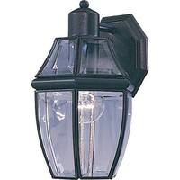 Outdoor Wall Light 10-3/4" Height Outdoor Wall Light 10-3/4" Height