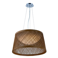 Down Light Pendant 24-1/4" Width Down Light Pendant 24-1/4" Width