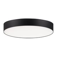 Ceiling Mounted Light 5" Width Ceiling Mounted Light 5" Width