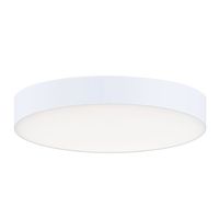 Ceiling Mounted Light 5" Width Ceiling Mounted Light 5" Width