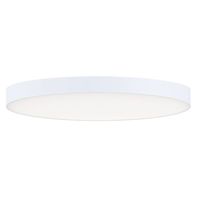 Ceiling Mounted Light 9" Width Ceiling Mounted Light 9" Width
