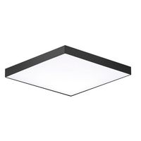 Ceiling Mounted Light 6-1/4" Width Ceiling Mounted Light 6-1/4" Width