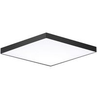 Ceiling Mounted Light 8-1/2" Width Ceiling Mounted Light 8-1/2" Width